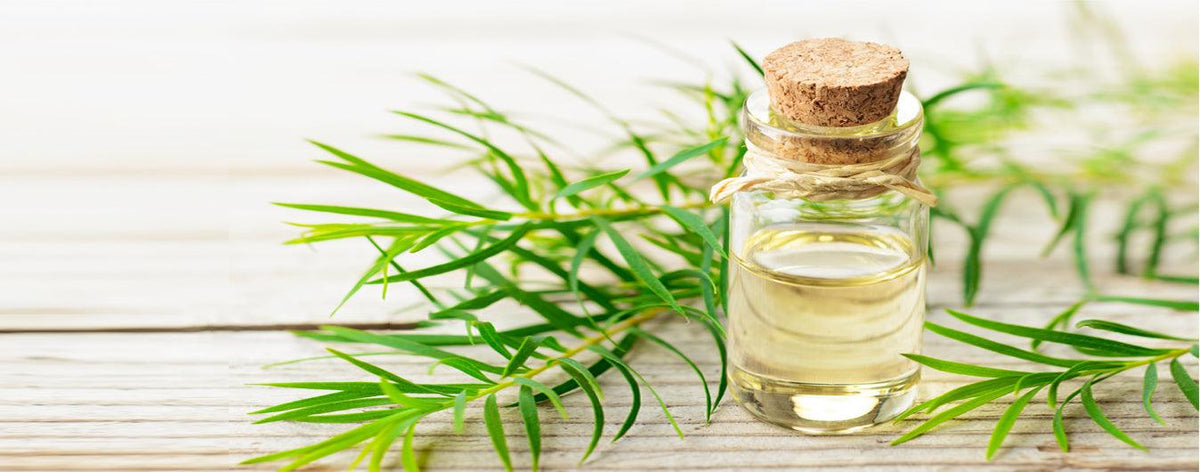 Tea Tree Oil