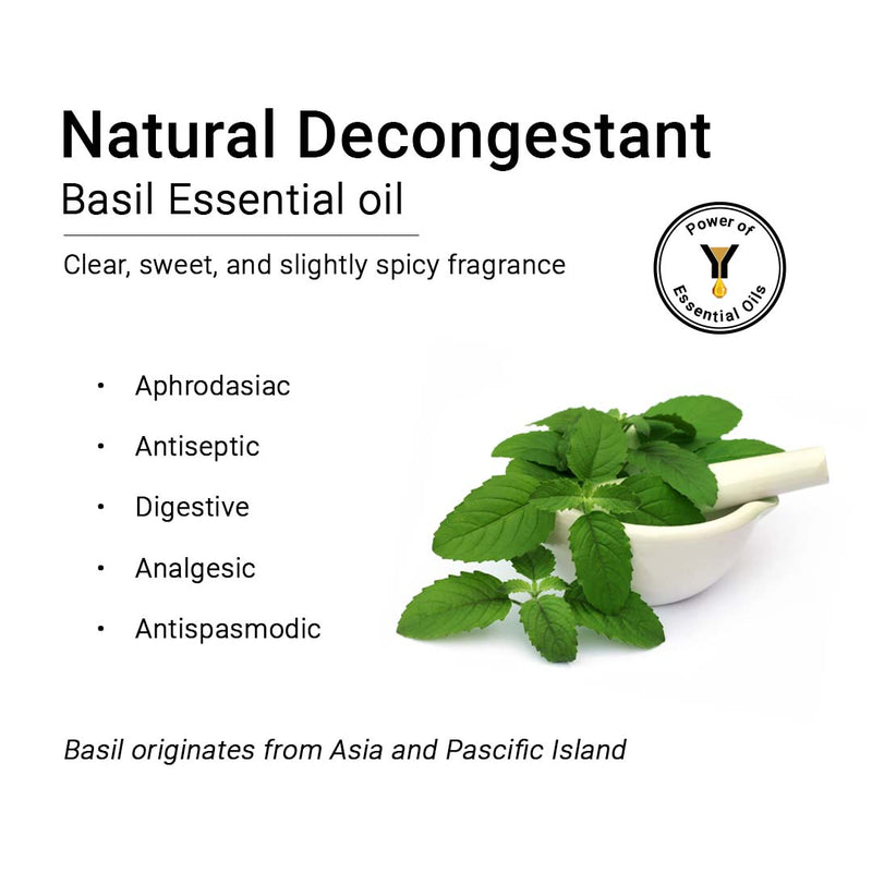 Basil Essential Oil, Therapeutic, Pure & Natural, Holy Basil (Tulsi) Spiritual Concentration, Headache, Digestive & Antiseptic 10ml, Essential Oil, Keya Seth Aromatherapy