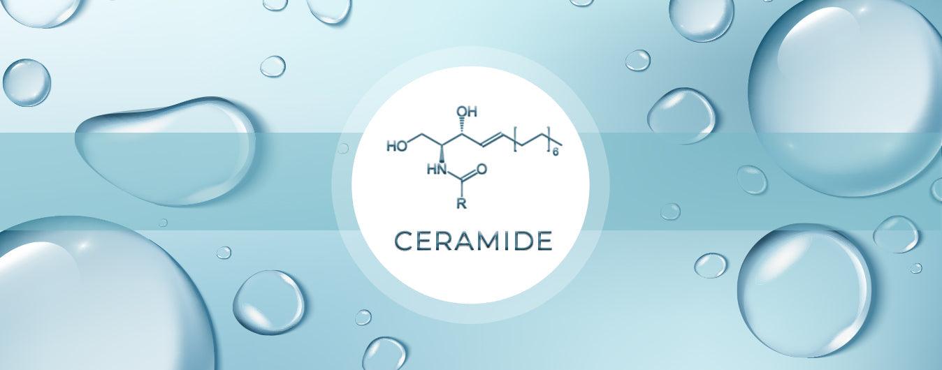 Ceramide hoạt động như thế nào?