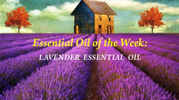 Blog 14: Essential Oil of the Week:  Lavender Essential Oil - Keya Seth Aromatherapy
