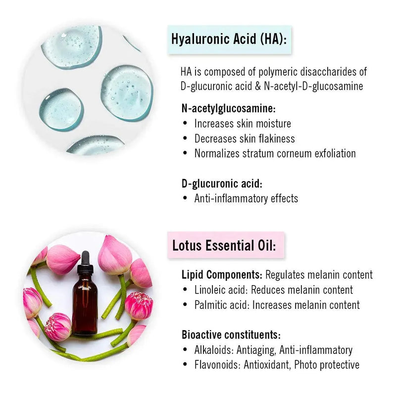 Hyaluronic Lotus Hydrating Gel Moisturizer, Pentavitin + Beet Root Extract, NMFs + Lipids, Intense Moisturization & Skin Barrier Repair