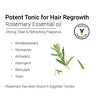 Rosemary Essential Oil, Natural Therapeutic Grade, Hair Growth, Hair Fall Control & Nourishment, Even Skin Tone 10ml - Keya Seth Aromatherapy