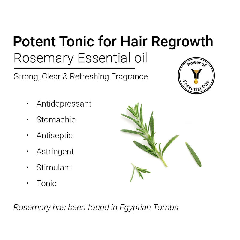 Rosemary Essential Oil, Natural Therapeutic Grade, Hair Growth, Hair Fall Control & Nourishment, Even Skin Tone 10ml