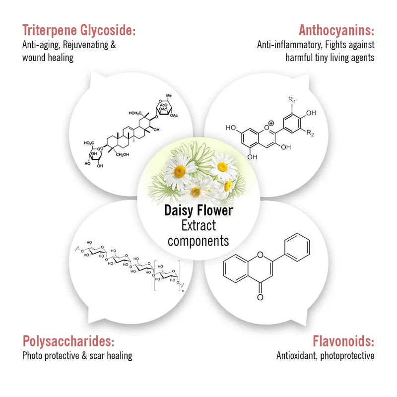 Skin Lightening Spot Serum, Daisy Flower + Alpha Arbutin + Mulberry Root, Dark Spots & Brightening, Hyperpigmentation, with Sodium Ascorbyl Phosphate