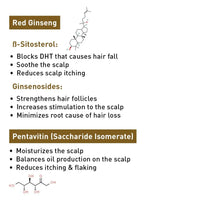 Korean Red Ginseng Hair Growth Shampoo, Blocks DHT, Pentavitin, Decyl Glucoside + Conditioners, Hydration Nourishes Hair & Scalp - Keya Seth Aromatherapy