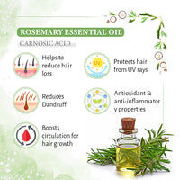 Rosemary Hair Growth Treatment Kit for Dry Hair- Rosemary Hair Serum, Hair Oil, Shampoo, Water Mist to Reduce Itching, Oiliness, Flakes & Hair Fall - Keya Seth Aromatherapy