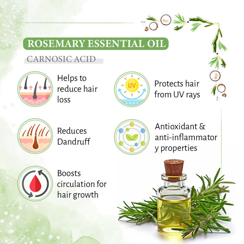 Rosemary Hair Growth Treatment Kit for Dry Hair- Rosemary Hair Serum, Hair Oil, Shampoo, Water Mist to Reduce Itching, Oiliness, Flakes & Hair Fall - Keya Seth Aromatherapy