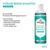 Preventive Hair Care Treatment Kit- Tribal Essence Hair Oil & Intense Repair Shampoo, Reduces Dandruff, Nourishes & Strengthens Hair - Keya Seth Aromatherapy
