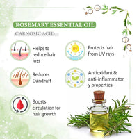 Rosemary Tea Tree Coconut Hair Oil, Hair Growth Anti Dandruff & Itching Nourishment & Moisturizer, Distilled Essential Oil