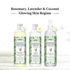 Rosemary Lavender Coconut Body Wash, Glowing Skin Moisturizing & Refreshing, Natural Coconut Derived Foaming + Conditioner, Essential Oil - Keya Seth Aromatherapy