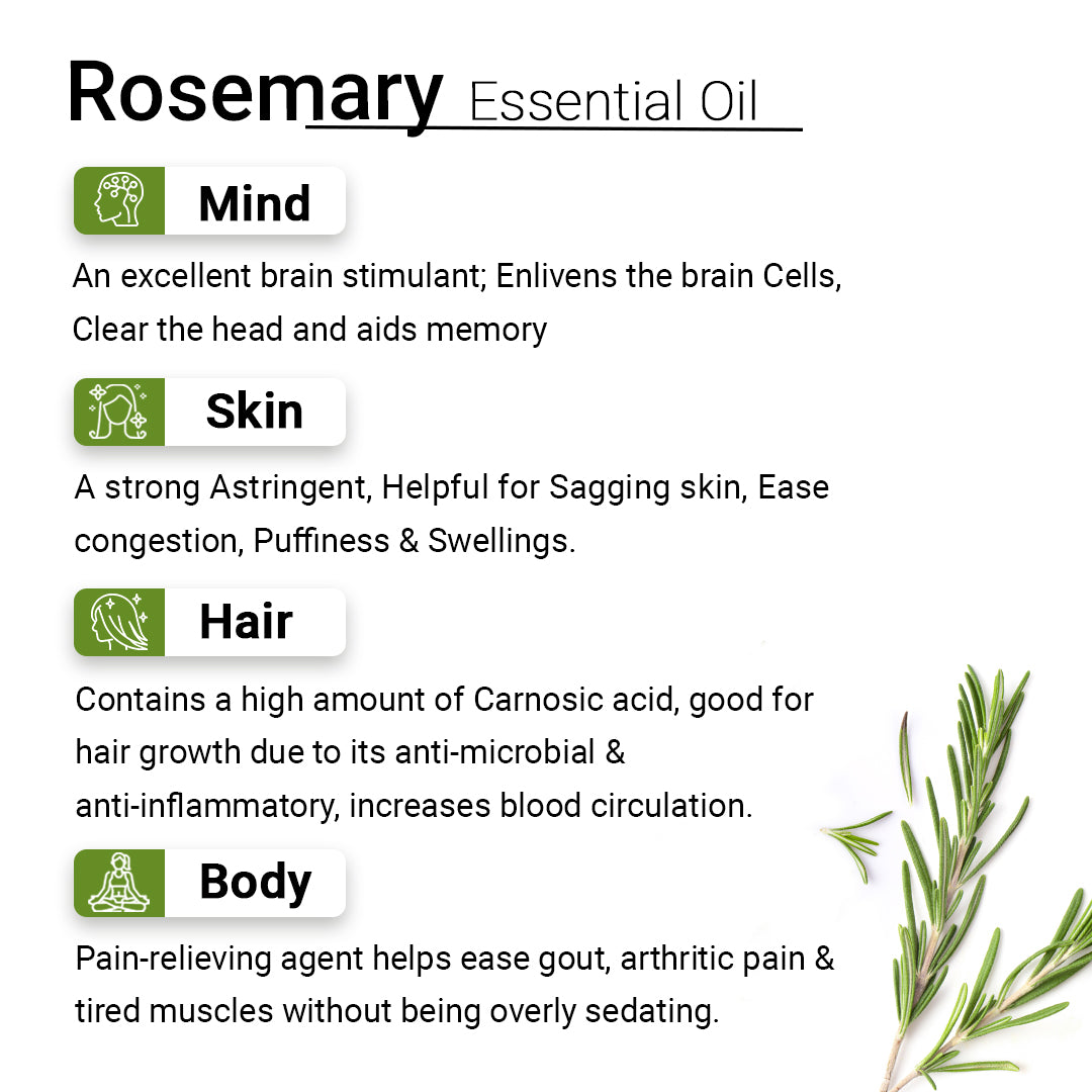 Rosemary Essential Oil Natural Therapeutic Grade, Hair Loss Control & –  Keya Seth Aromatherapy