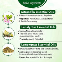 Free Ankush Mosquito & Insect Repellent Spray for Room & Apparel with Citronella, Lemongrass & Eucalyptus Oil Non-Toxic & No DEET Formula -Safe for kids - Keya Seth Aromatherapy